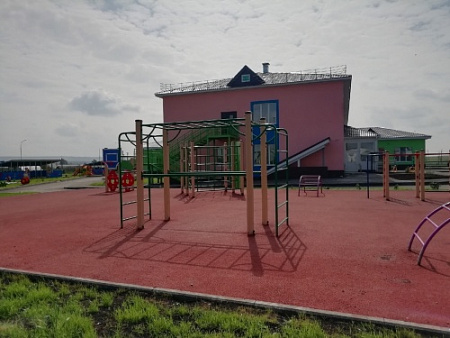 ДСК 04270 Спортивный комплекс Рукоход