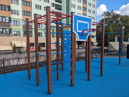 ДСК 04351 Спортивный комплекс Скалолаз 2