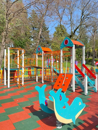 ИО 05230 Качалка на пружине Дельфинчик