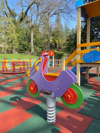 ИО 05200 Качалка на пружине Байк