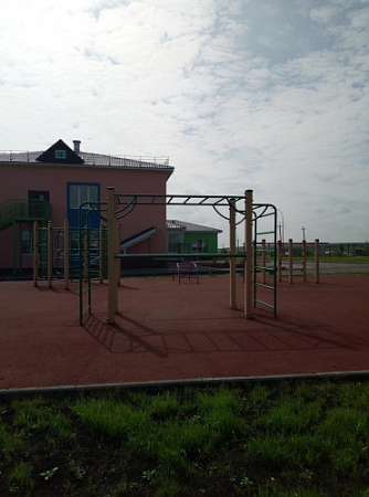 ДСК 04270 Спортивный комплекс Рукоход