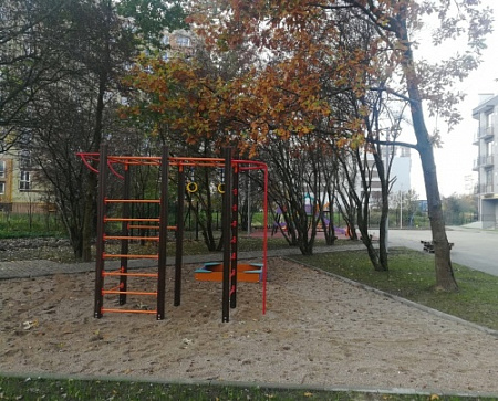 ДСК 04171 Спортивный комплекс серии Браун.