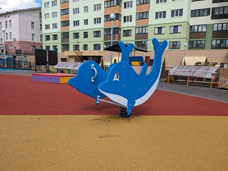 ИО 05230 Качалка на пружине Дельфинчик