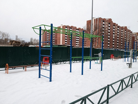 СОВ 04502 Кроссфит (рукоход с брусьями)